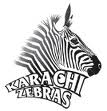Karachi-Zebras.jpg