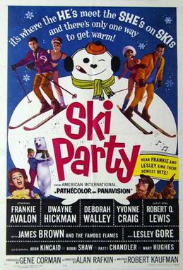 File:Poster of the movie Ski Party.jpg