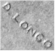 Euro.inscription.sculp.vat.s02.388.jpg