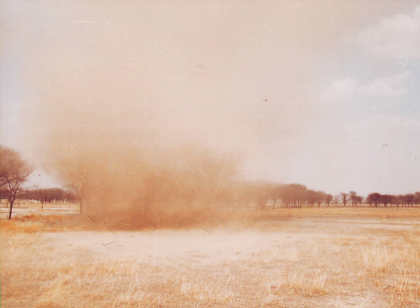 Dust To Dust [1938]