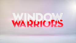 WindowWarriors.jpg