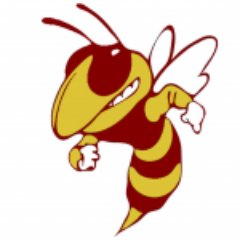 Buford High School Mascot, a Yellow Jacket