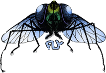 Fly Records logo