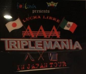 File:TriplemaniaVIII.jpg