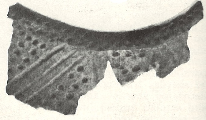 File:Plum Island Langford Trailed Rim Sherd.jpeg