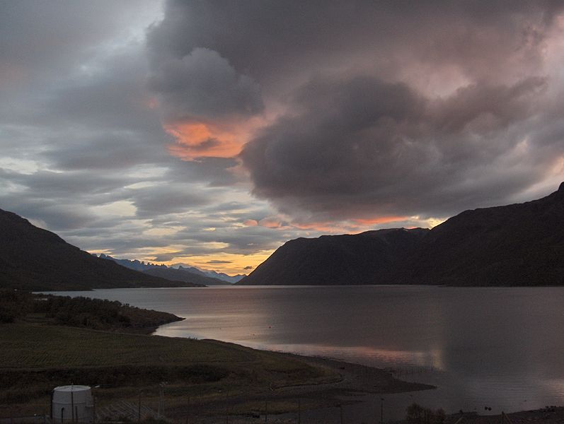 File:Jøkelfjord - summer-evening.JPG