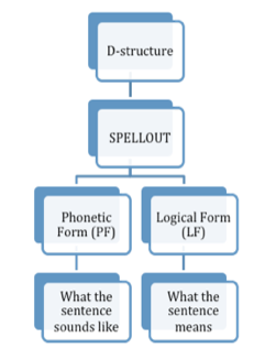 File:LF PF Y model.tiff