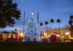Tumbleweed Christmas Tree in Chandler, Arizona