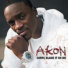 Akon   Sorry Blame It On Me