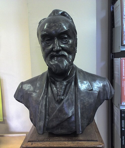 File:John Hughlings-Jackson bust.jpg