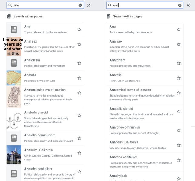 File:Minerva search for ana with and without thumbnails.png