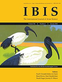 Cover of Ibis.jpg