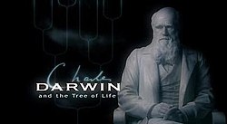 Charles Darwin and the Tree of Life title card