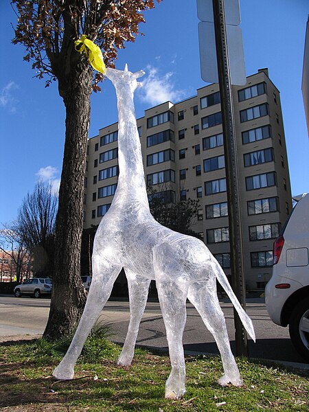 File:Tape giraffe.jpg