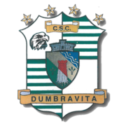 ACS Dumbrăvița logo.png