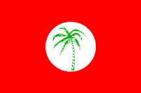 Pnc-ghana flag.gif