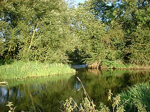 River Wreake 15 Sept 2007.jpg