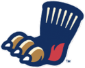 Кепка Valley Blue Sox logo.png