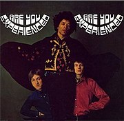 Cover of Are You Experienced?