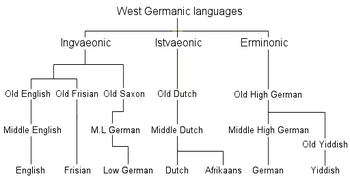 The simplified relation between the languages ...