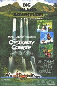 The Castaway Cowboy movie