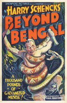 Beyond Bengal movie
