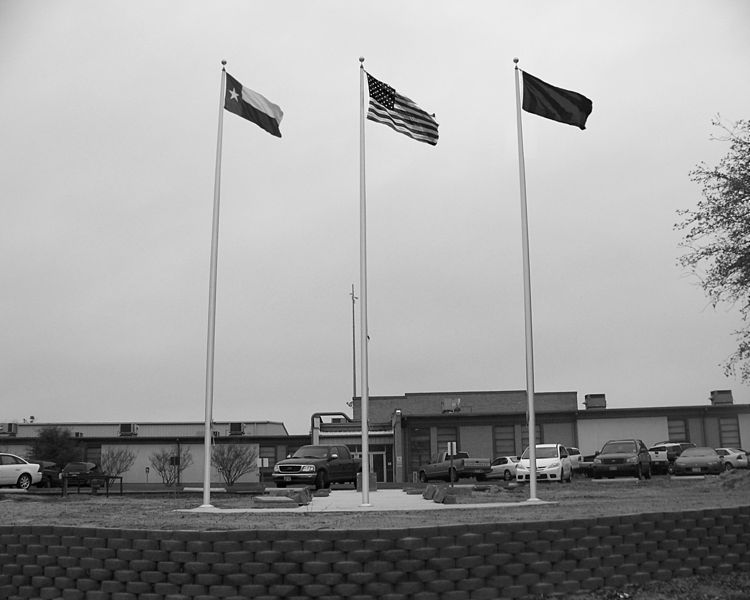 File:School Flags Pewitt.jpg