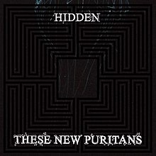 A gray, swirled image with a black, four-quadrant maze overlaid. Atop this image is the all-caps text "Hidden" at the top, and "These New Puritans" at the bottom.