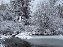 A pond in winter experiencing inverse stratification Pond in winter 2.jpg