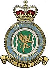 RAF Laarbruch badge.jpg