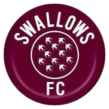 Moroka Swallows F.C. logo.png