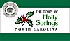 Official Flag of Holly Springs North Carolina.jpg