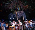 The inside of the Rainforest Cafe at Disney Springs in Orlando, Florida.