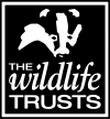 Логотип Фонда дикой природы