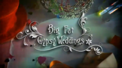 Gypsy Wedding Photos on 250px Big Fat Gypsy Weddings Png