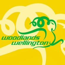 Woodlands Wellington Football Club logo.png