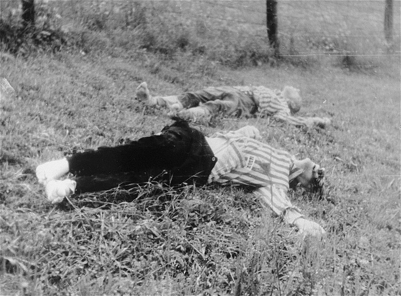 File:Corpses of two Czech prisoners of Mauthausen, shot in Wiener Graben.jpg