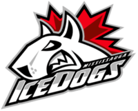 Mississaugaicedogs.png