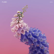 Flume - Skin.png