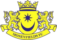 Логотип Moneyfields