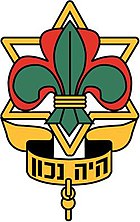 Hebrew Scouts.jpg