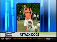 Fox News Channel image of Steinberg superimposed on a poodle, and Reddicliffe superimposed on the man holding the poodle's leash FNCControversy Poodle.png