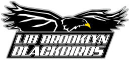 File:LIU Brooklyn Blackbirds logo.svg