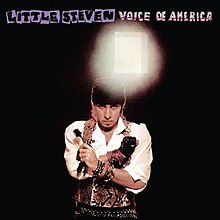 Маленький Стивен: Голос Америки cover.jpg