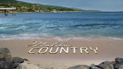 250px-Malibu_Country_intertitle.png