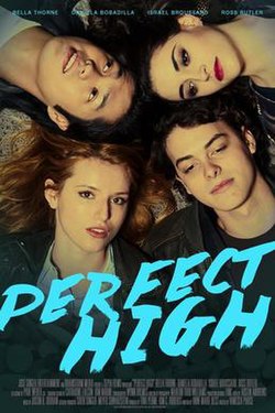 Perfect High Poster.jpg