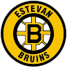 File:Estevan Bruins logo.svg