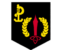 ARW unit insignia.gif