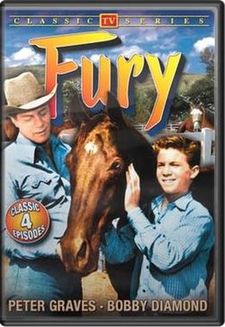 Обложка DVD Fury.jpg
