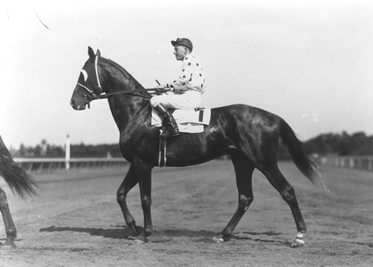 File:Omaha Triple Crown winner.webp